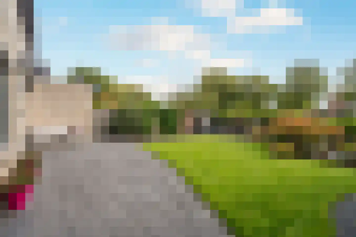 Nijlkrokodil 33 Heerhugowaard thumbnail 29