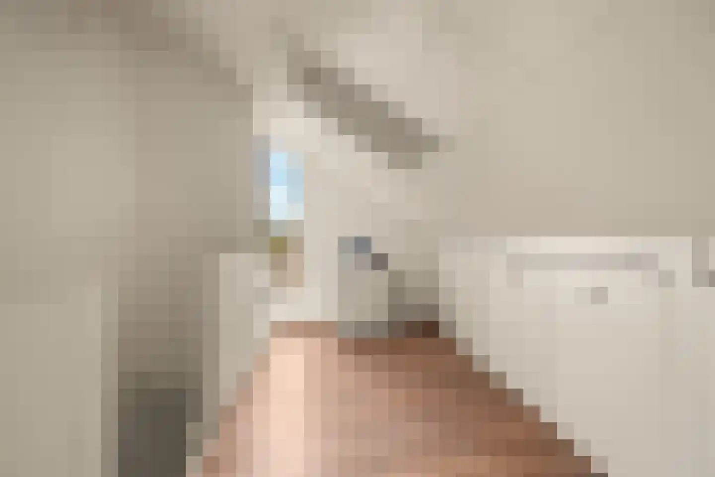 Nijlkrokodil 33 Heerhugowaard thumbnail 32