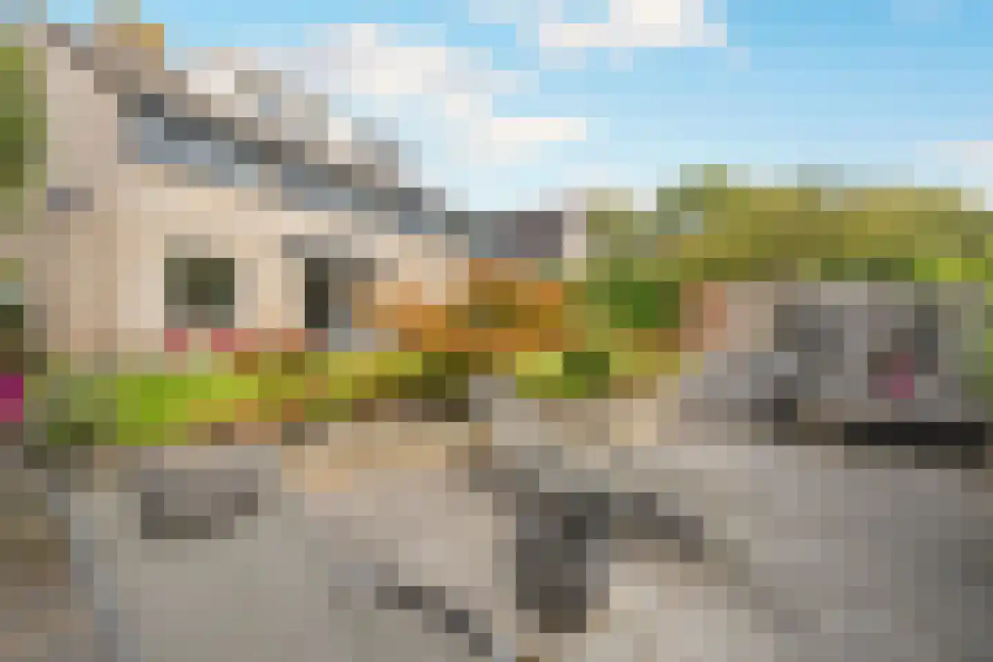 Nijlkrokodil 33 Heerhugowaard thumbnail 35
