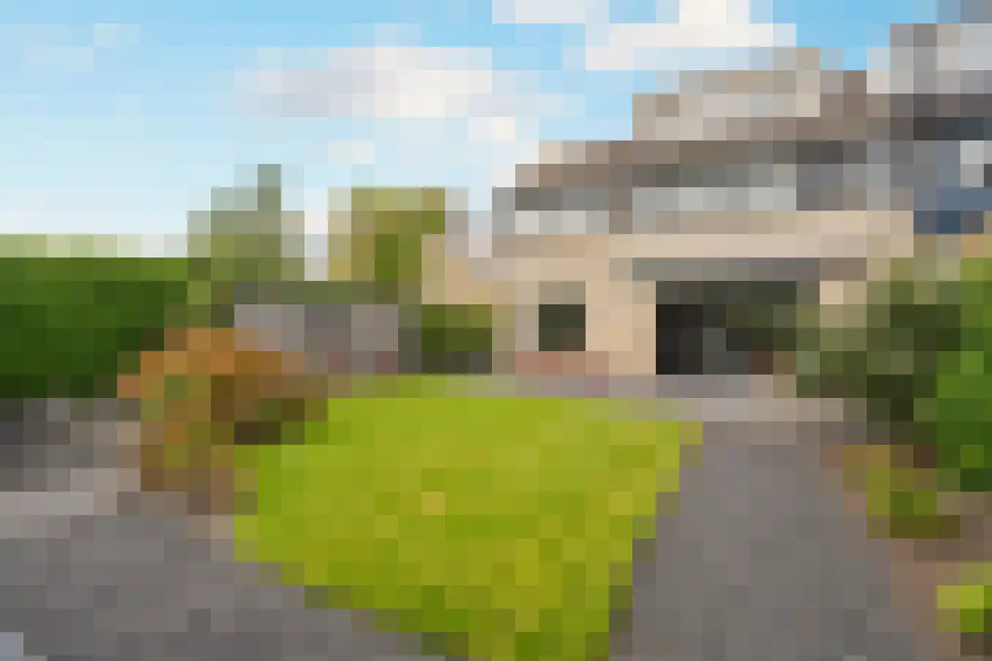 Nijlkrokodil 33 Heerhugowaard thumbnail 36