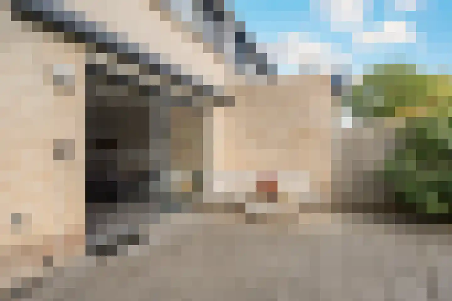 Nijlkrokodil 33 Heerhugowaard thumbnail 37