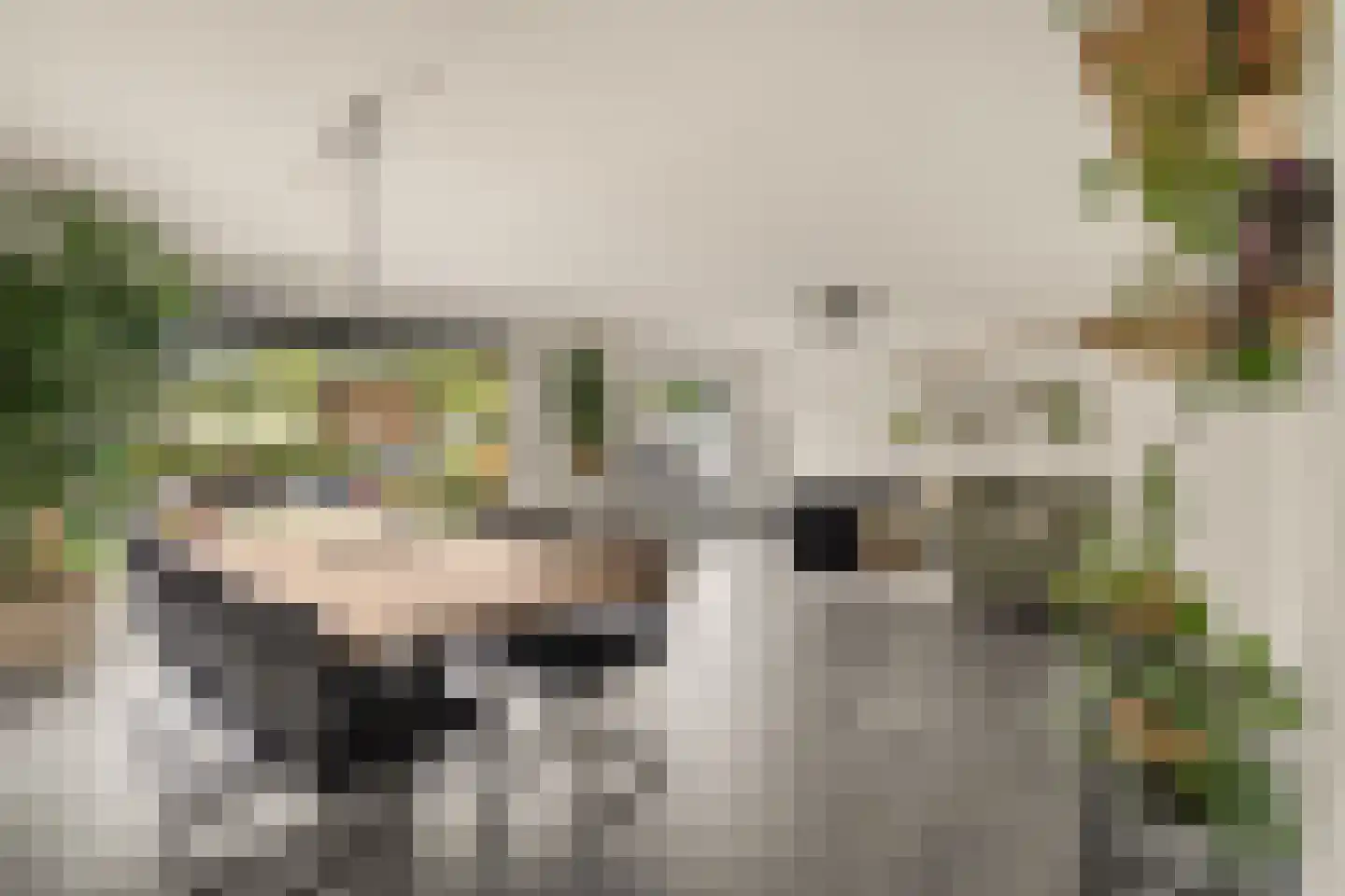 Nijlkrokodil 33 Heerhugowaard thumbnail 4