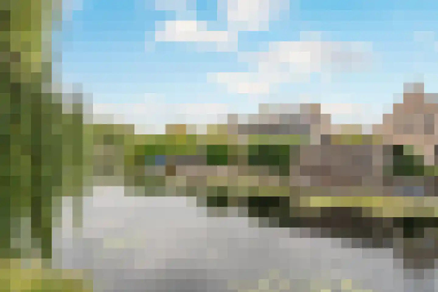 Nijlkrokodil 33 Heerhugowaard thumbnail 44