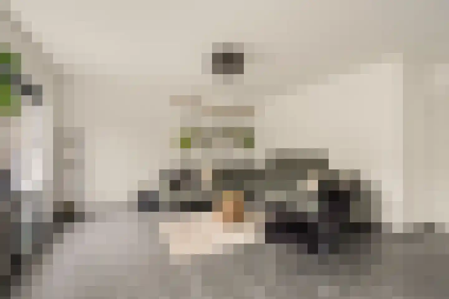 Nijlkrokodil 33 Heerhugowaard thumbnail 5