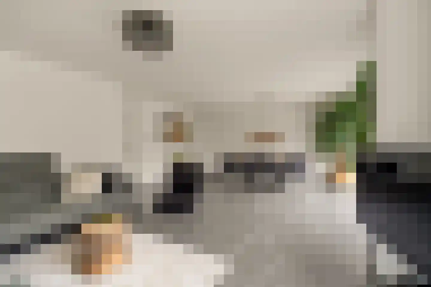 Nijlkrokodil 33 Heerhugowaard thumbnail 6