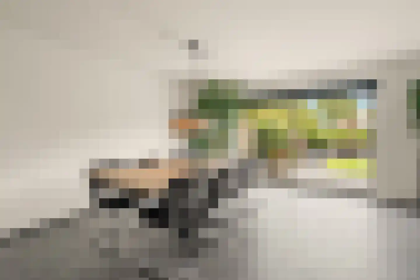 Nijlkrokodil 33 Heerhugowaard thumbnail 7