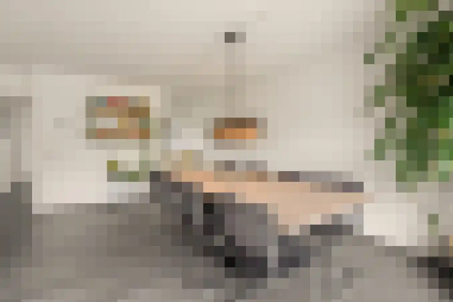 Nijlkrokodil 33 Heerhugowaard thumbnail 8