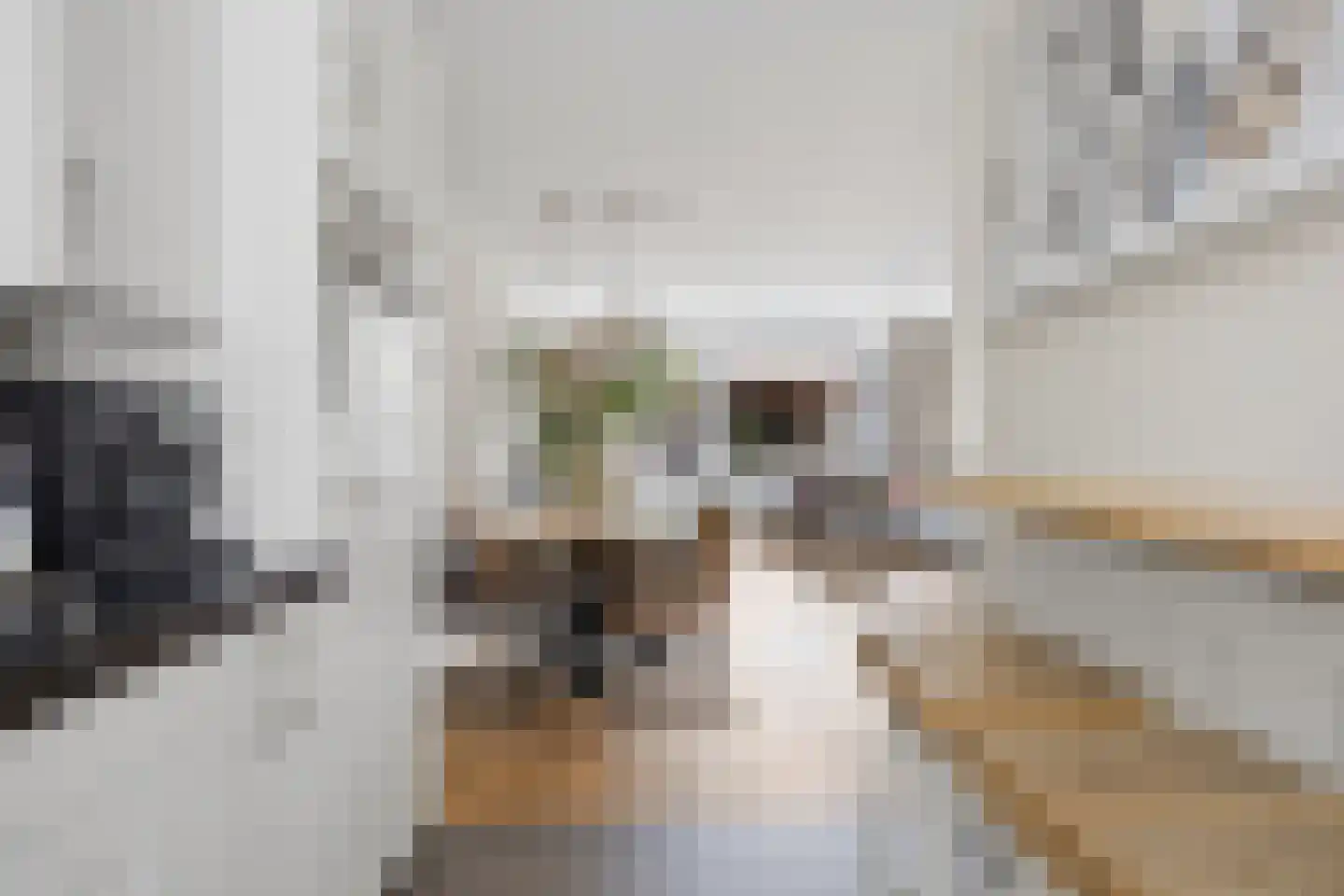 Nijlring 15 Drunen thumbnail 14