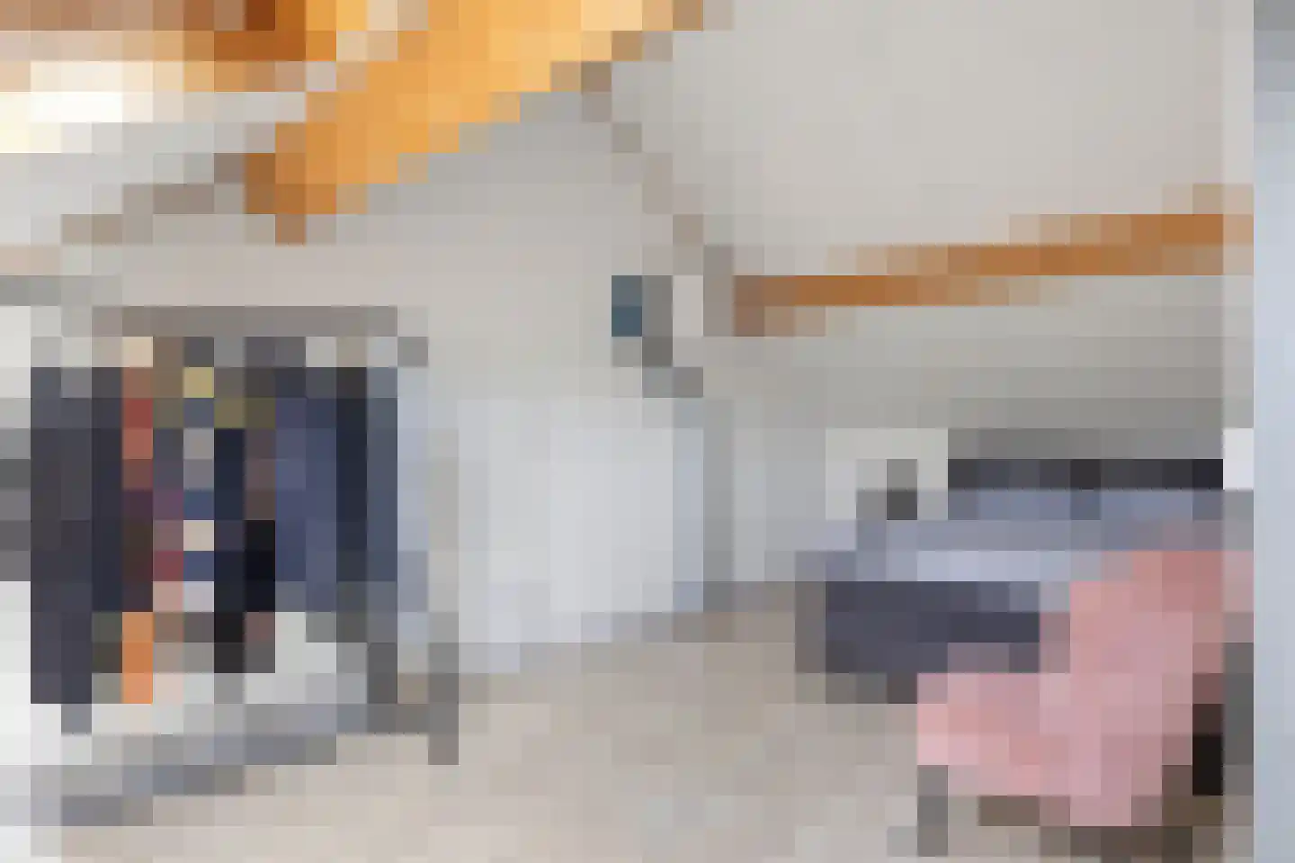 Nijlring 15 Drunen thumbnail 30