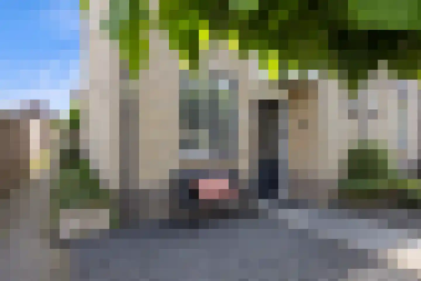 Nijlring 15 Drunen thumbnail 5