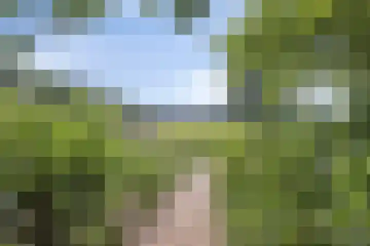 Nijlring 23 Drunen thumbnail 36