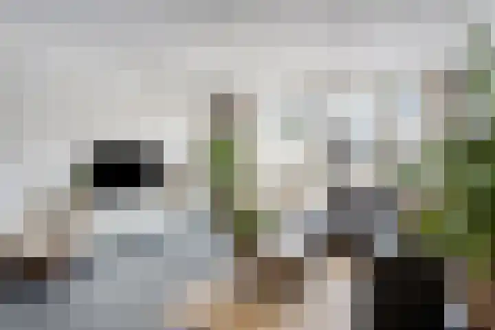 Nijlring 23 Drunen thumbnail 7