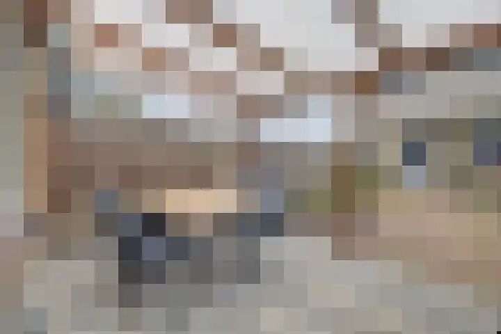 Nijlring 45 Drunen thumbnail 33