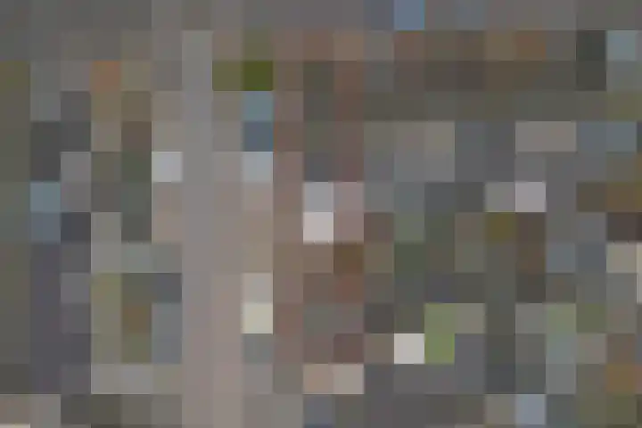 Nijlring 45 Drunen thumbnail 44