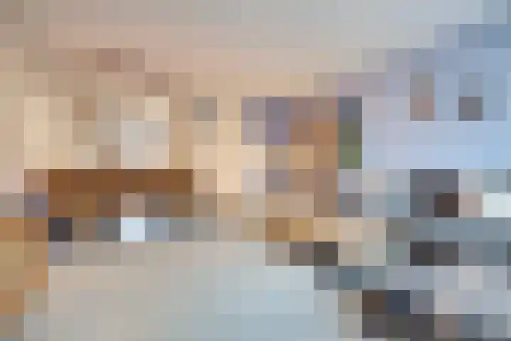Nijlring 45 Drunen thumbnail 6