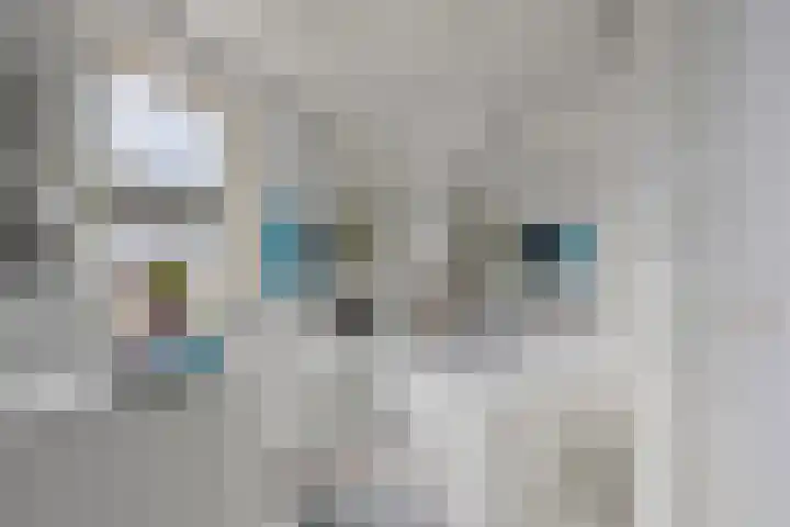 Nijlring 77 Drunen thumbnail 16