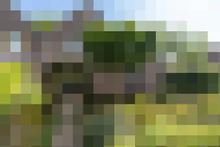 Nijlring 77 Drunen thumbnail 25