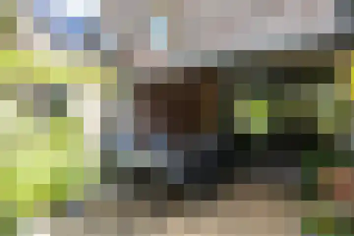 Nijlring 77 Drunen thumbnail 26