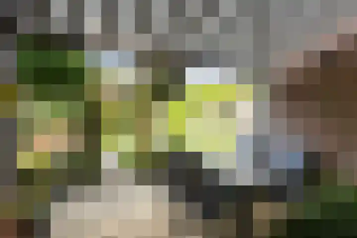 Nijlring 77 Drunen thumbnail 27