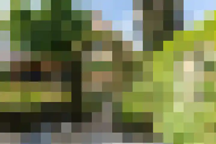 Nijlring 77 Drunen thumbnail 28