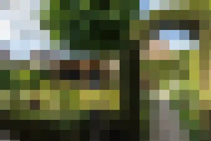 Nijlring 77 Drunen thumbnail 29