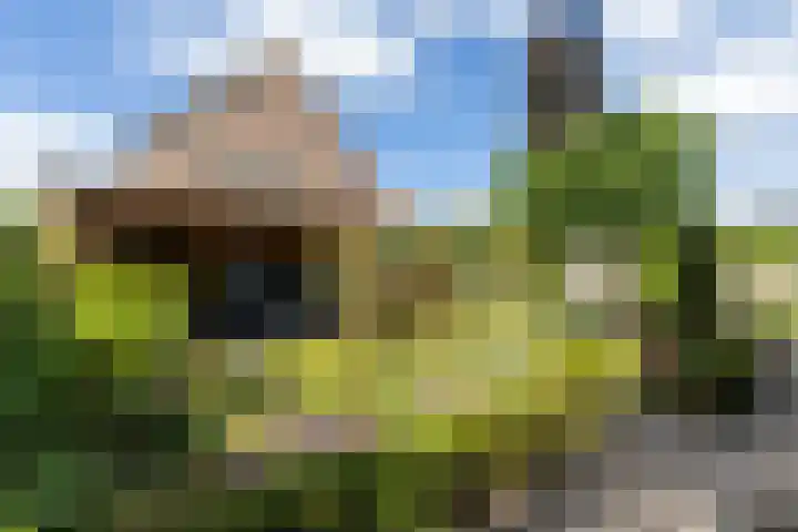 Nijlring 77 Drunen thumbnail 32