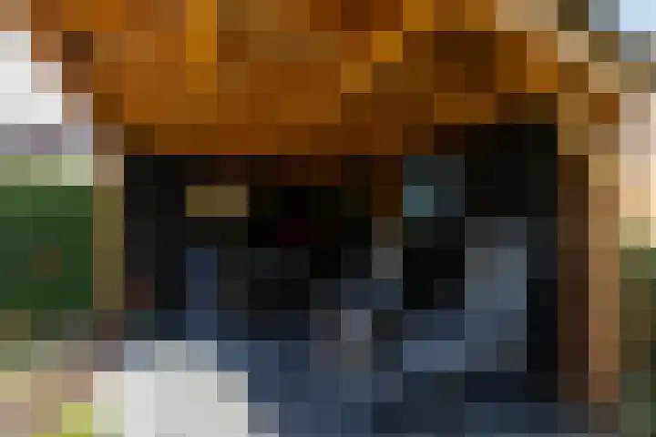 Nijlring 77 Drunen thumbnail 35