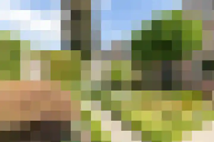 Nijlring 77 Drunen thumbnail 36