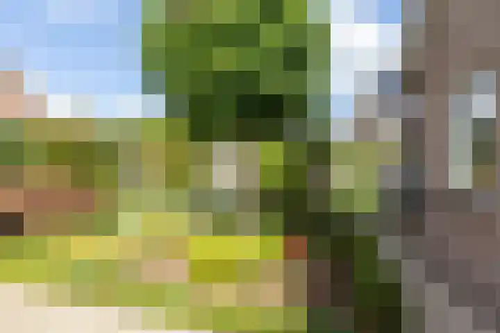 Nijlring 77 Drunen thumbnail 37
