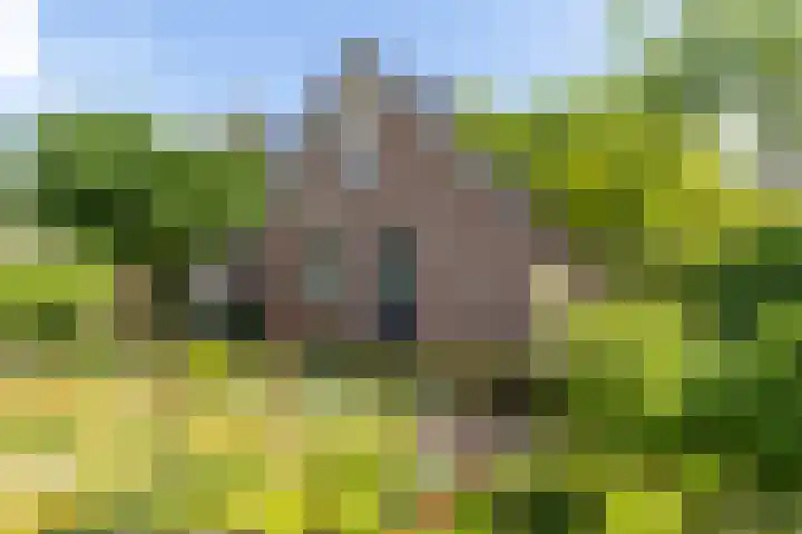 Nijlring 77 Drunen thumbnail 38