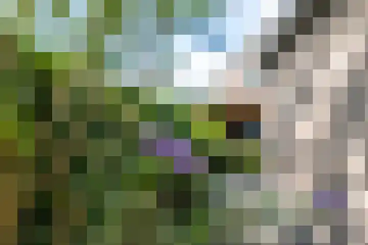 Nijlring 77 Drunen thumbnail 39