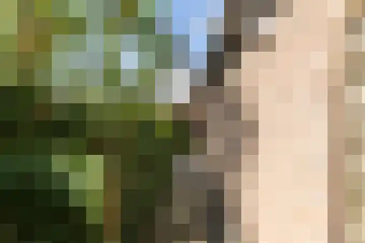 Nijlring 77 Drunen thumbnail 40