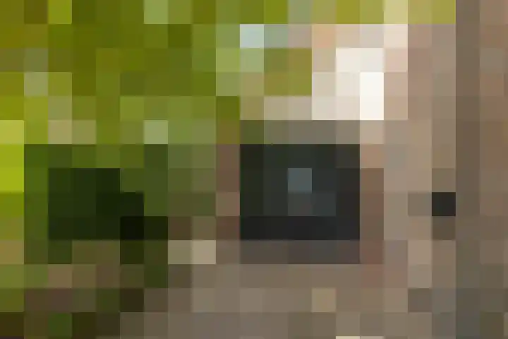 Nijlring 77 Drunen thumbnail 41