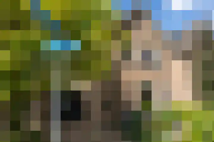 Nijlring 77 Drunen thumbnail 49