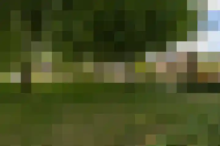 Nijlring 77 Drunen thumbnail 50