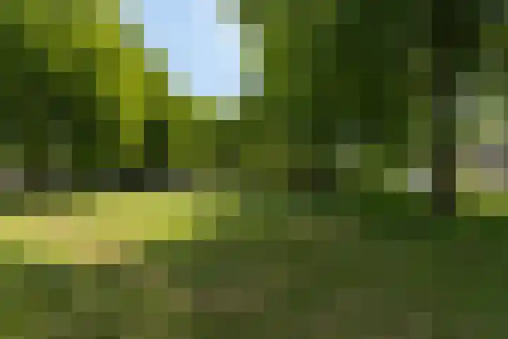 Nijlring 77 Drunen thumbnail 51