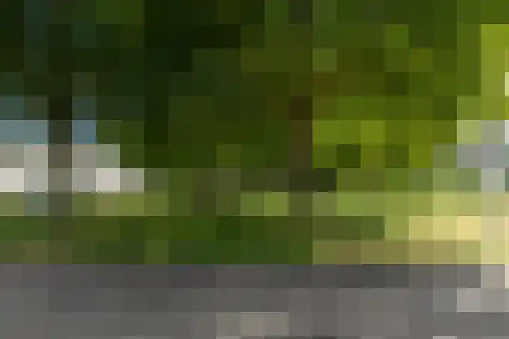 Nijlring 77 Drunen thumbnail 52