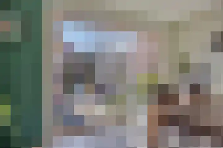 Nijlring 77 Drunen thumbnail 6