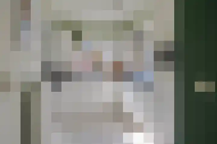 Nijlring 77 Drunen thumbnail 8