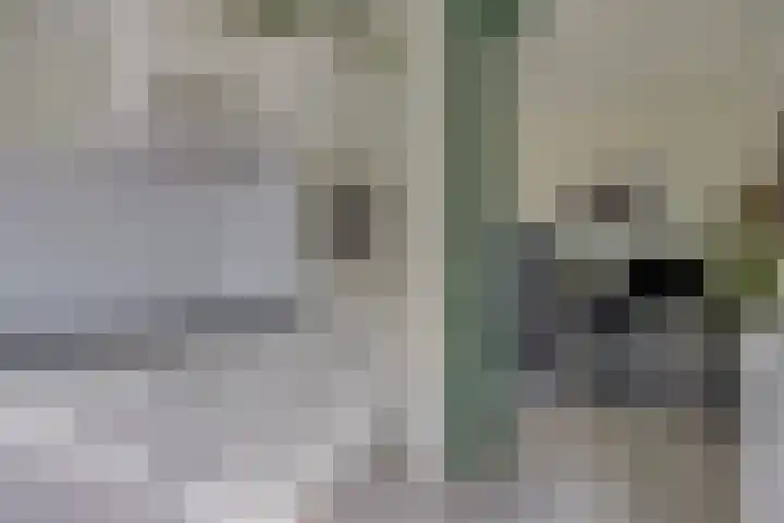 Nijlring 77 Drunen thumbnail 9