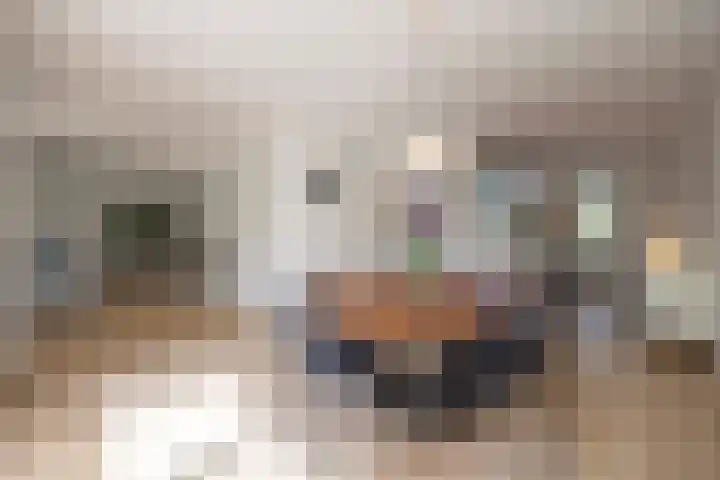 Nijlring 81 Drunen thumbnail 10