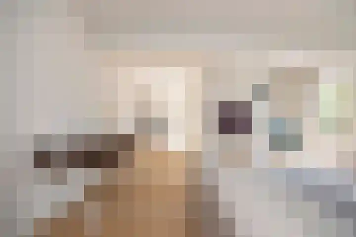 Nijlring 81 Drunen thumbnail 18