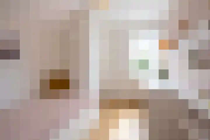 Nijlring 81 Drunen thumbnail 24