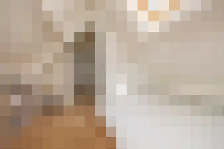 Nijlring 81 Drunen thumbnail 31