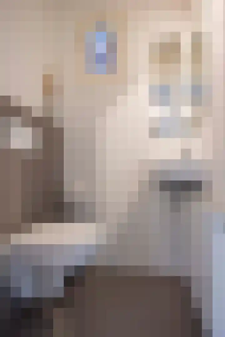Nijlring 81 Drunen thumbnail 33