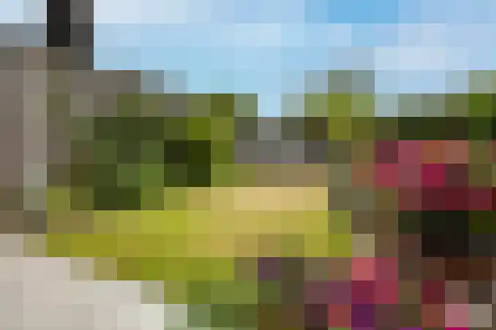 Nijlring 81 Drunen thumbnail 36