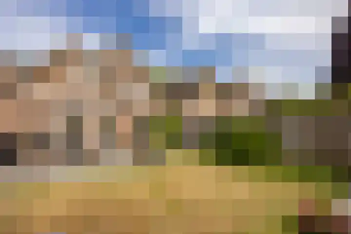 Nijlring 81 Drunen thumbnail 38