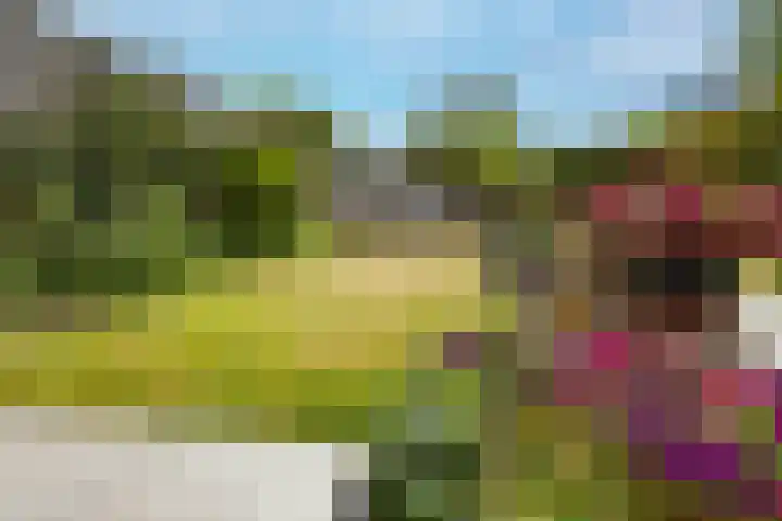 Nijlring 81 Drunen thumbnail 42
