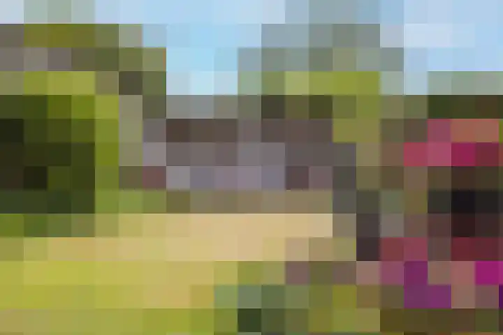 Nijlring 81 Drunen thumbnail 43
