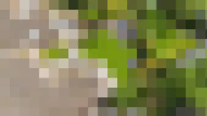 Nijlring 81 Drunen thumbnail 44
